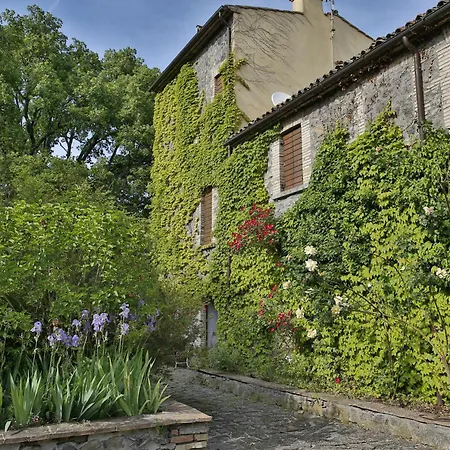 Valle Del Tione-gruppi- Apartment Orvieto